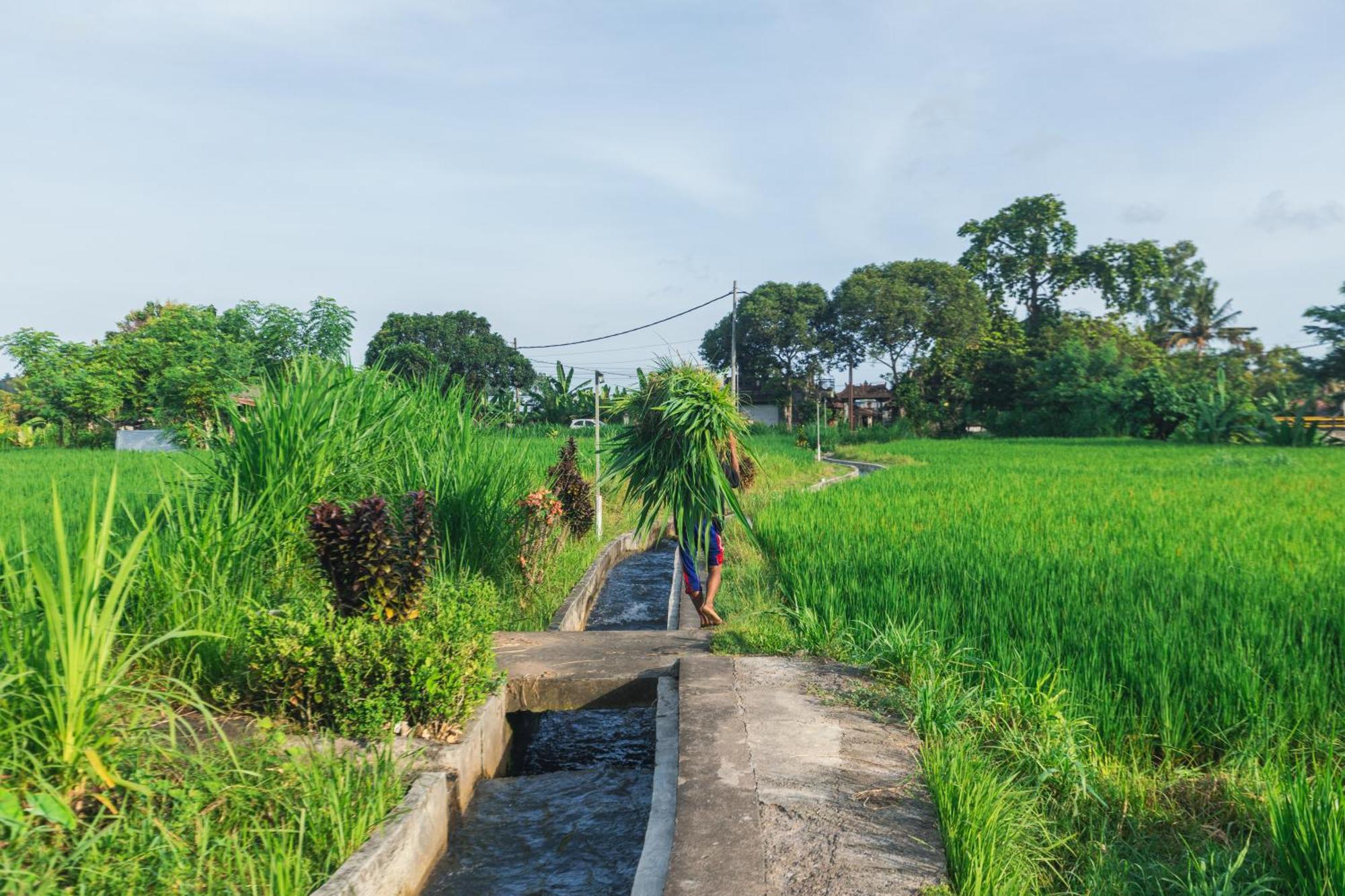Camani Glamping Hotel Karangasem  Exterior photo